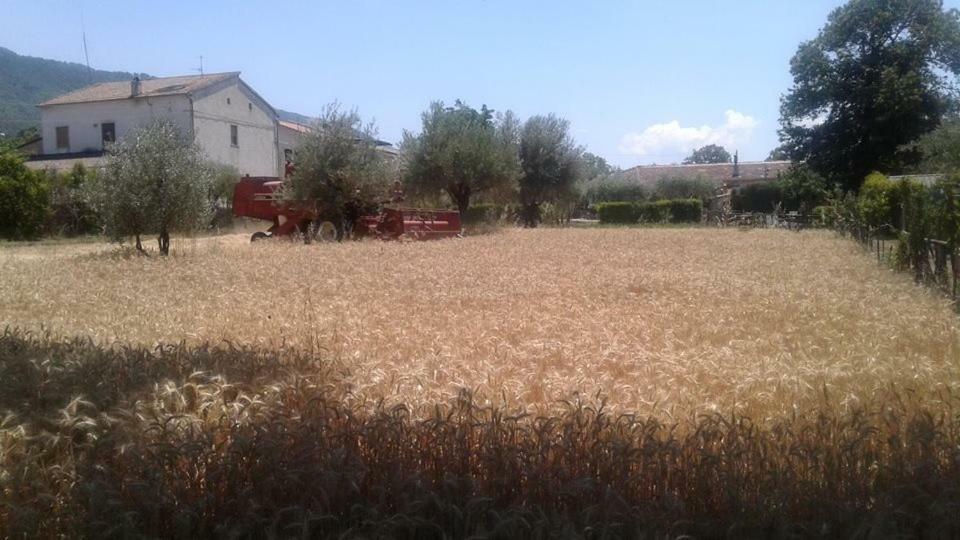 Agriturismo Tre Santi Villa Padula Buitenkant foto
